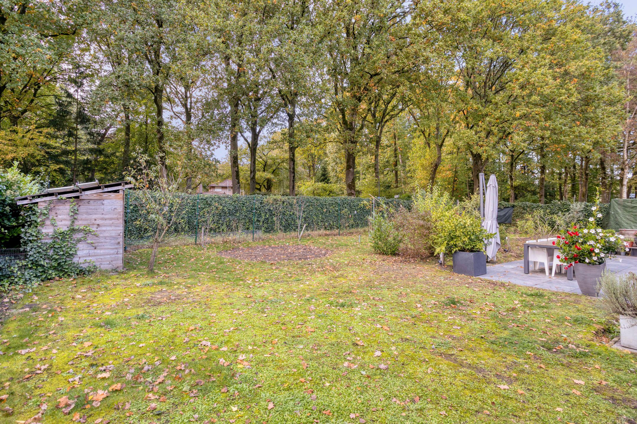 Photo 51 of Bosbes 2