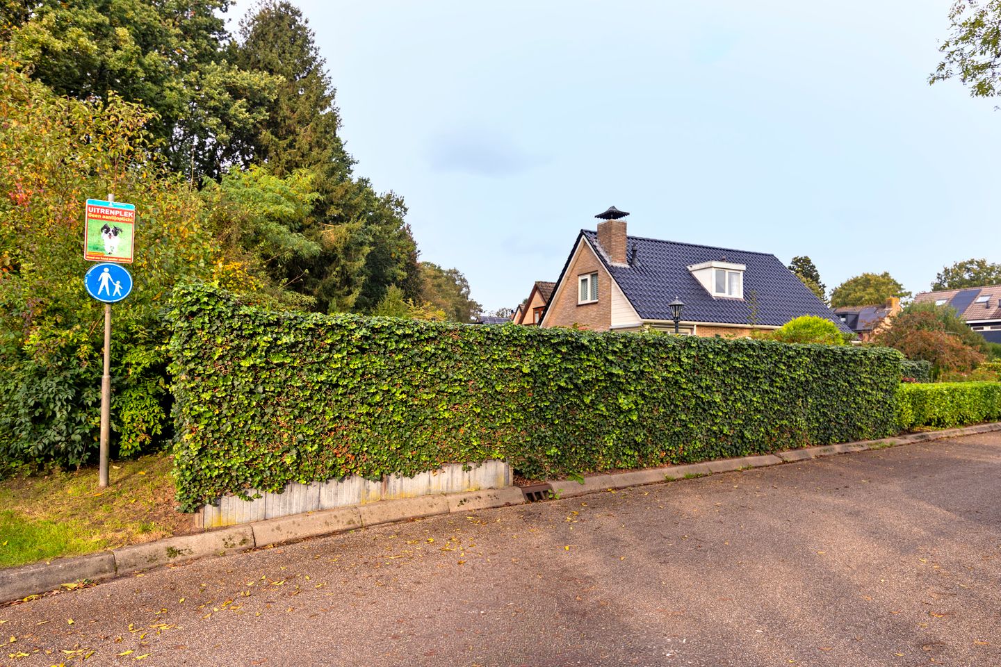 Photo 59 of Wagnerlaan 6