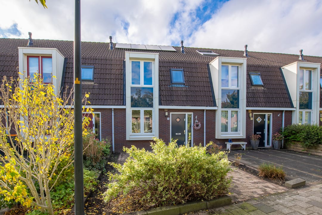 Photo 8 of Heintje Davidstuin 11