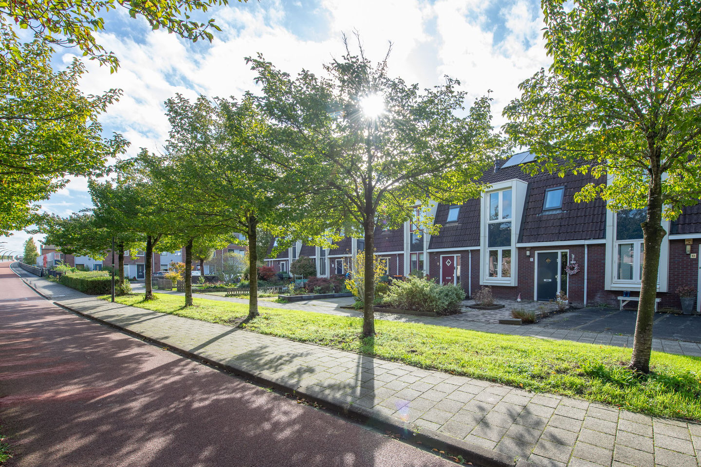 Photo 50 of Heintje Davidstuin 11