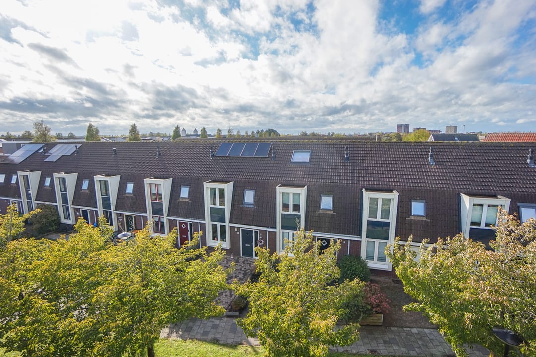 Photo 7 of Heintje Davidstuin 11