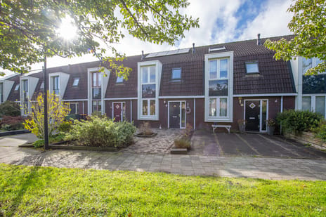 Heintje Davidstuin thumbnail