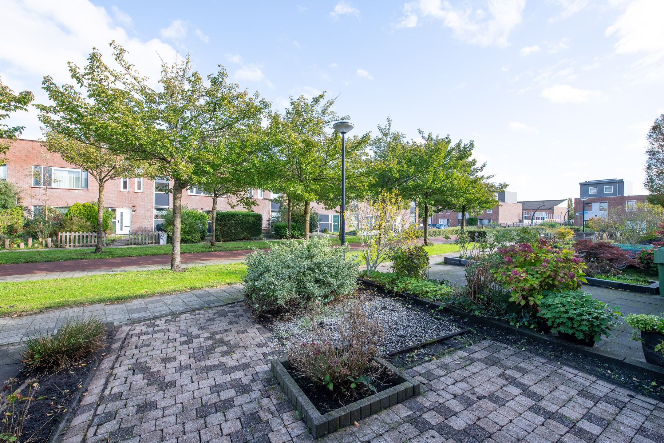 Photo 48 of Heintje Davidstuin 11
