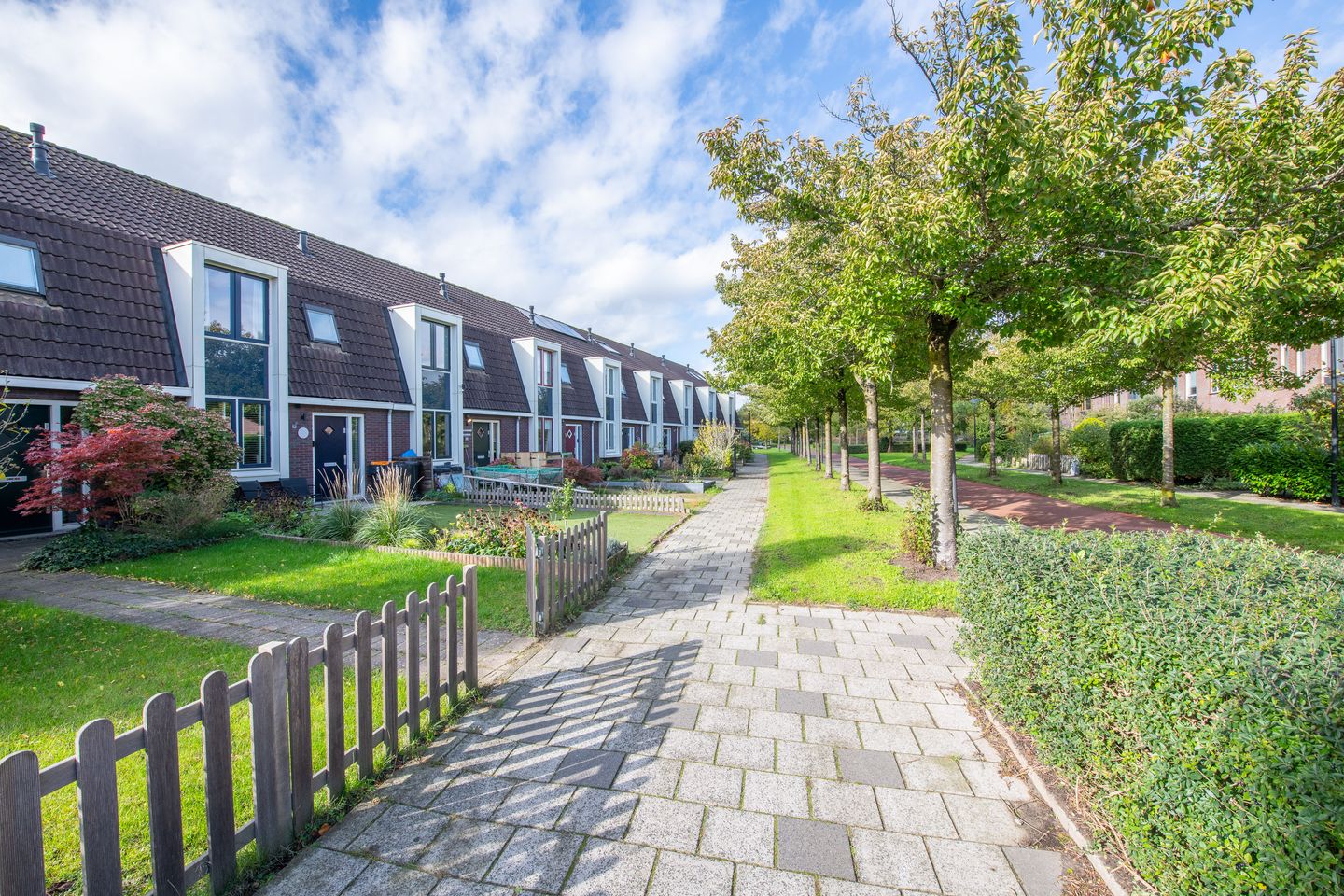 Photo 49 of Heintje Davidstuin 11