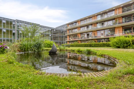 Nieuw-Schoonoord thumbnail