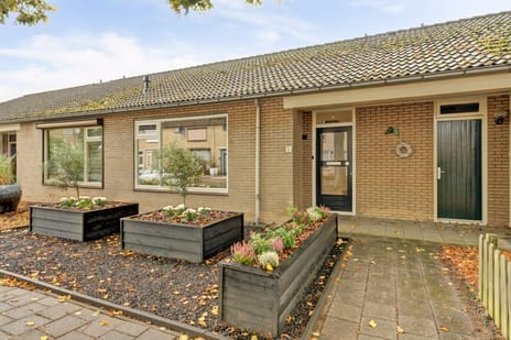 van Aemstelstraat thumbnail