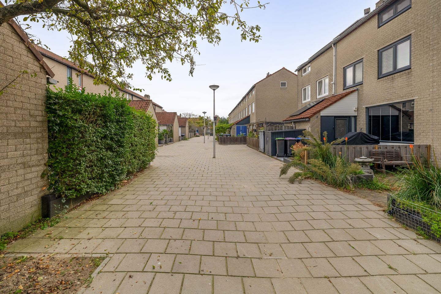 Foto 10 van Kiekendiefhoek 23