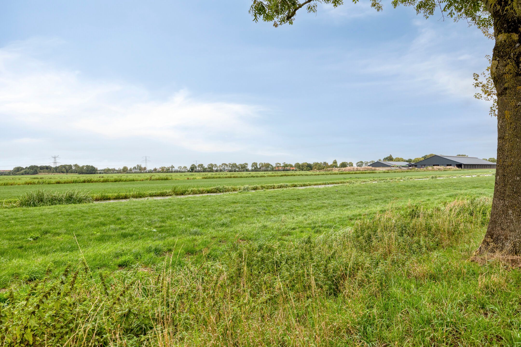 Photo 45 of Hof van Voorvliet 63