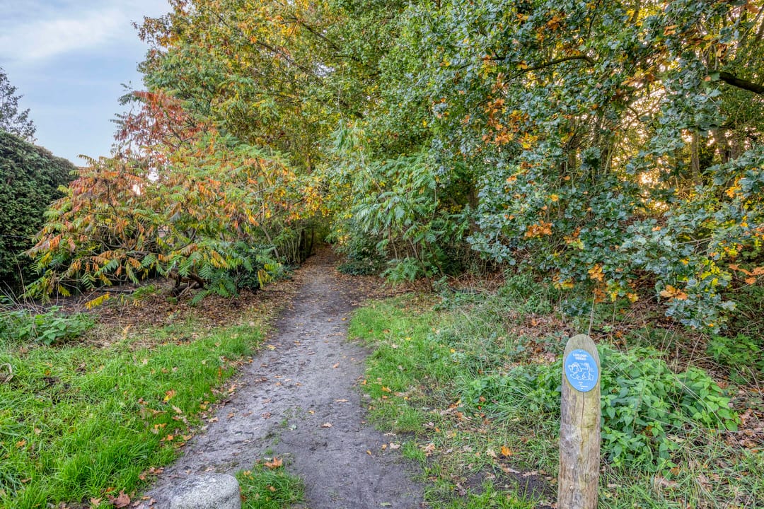 Photo 31 of Prins Bernhardstraat 21