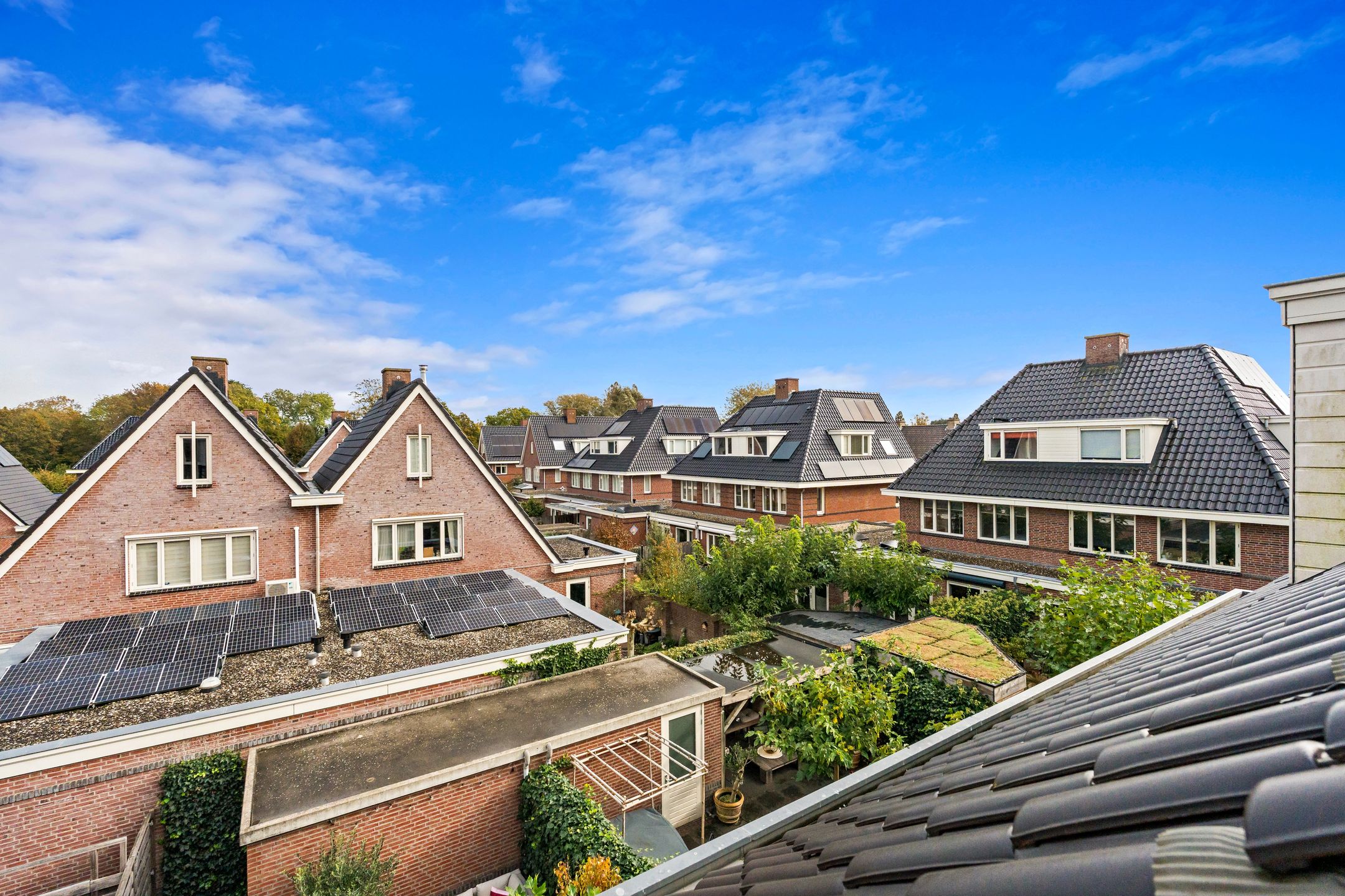 Foto 48 van Boerhaavestraat 53-B