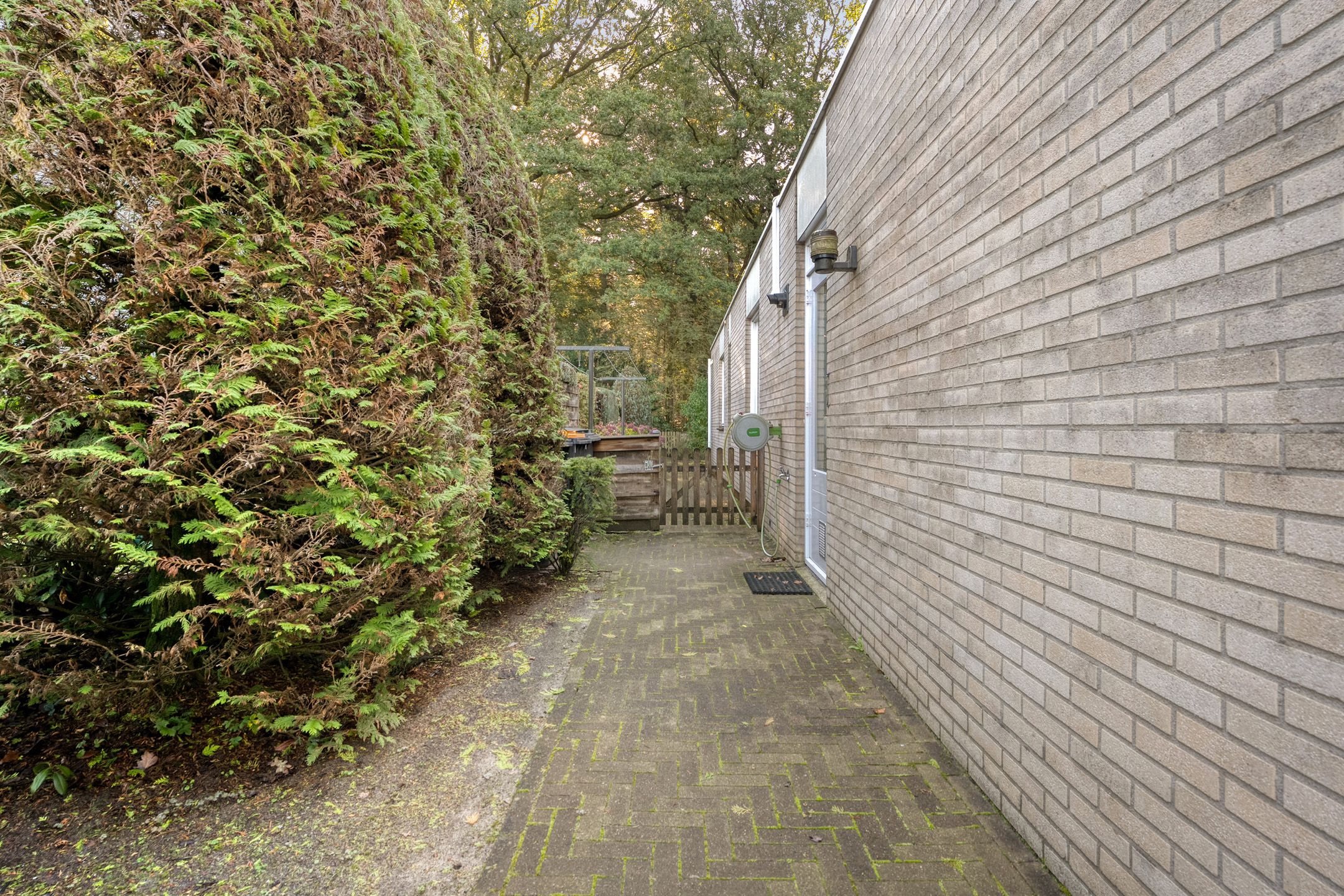Photo 51 of De Santbrincke 12