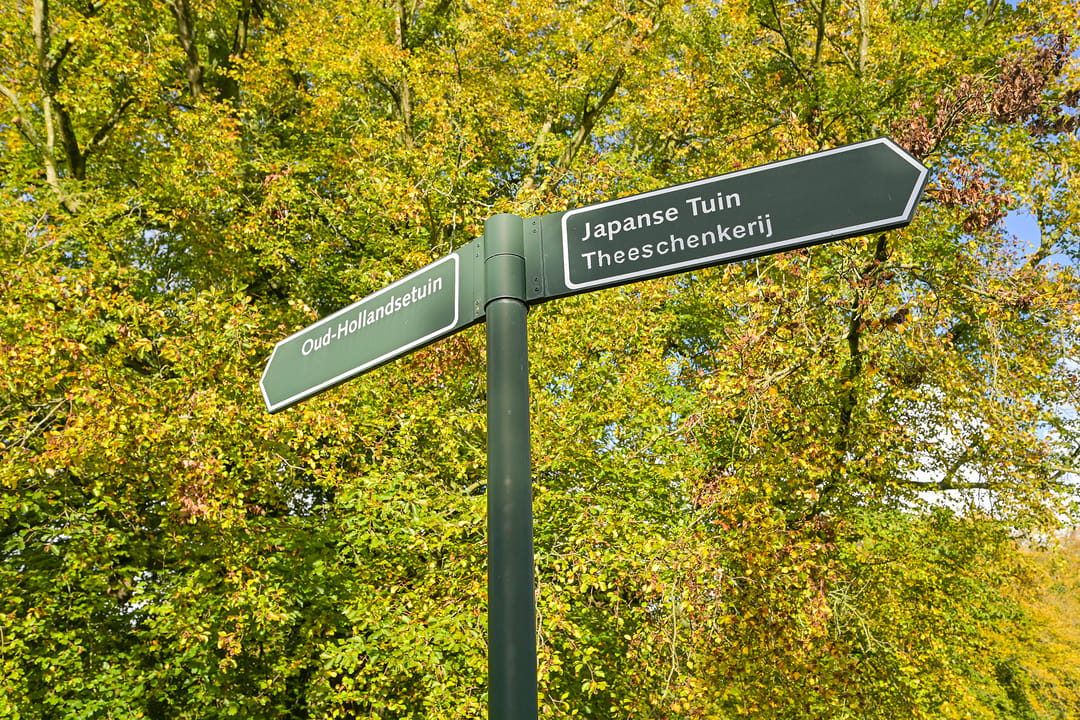 Foto 41 van Mankesstraat 39