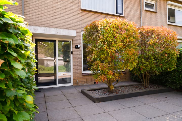 Foto 4 van Horteler 3