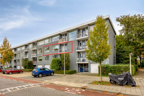 Pisanostraat thumbnail