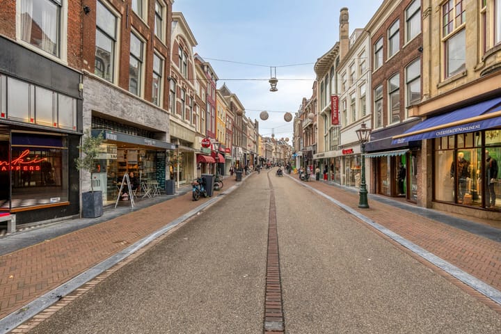 Foto 4 van Breestraat 171-A