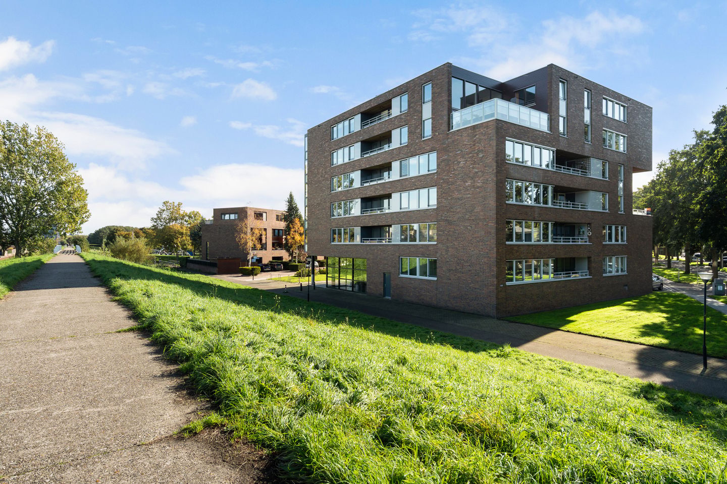 Foto 40 van Mahoniehout 39