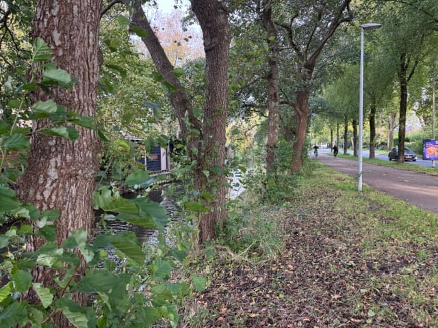 Foto 14 van 't Grachtje over 86
