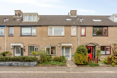 Cornelis Dopperlaan thumbnail