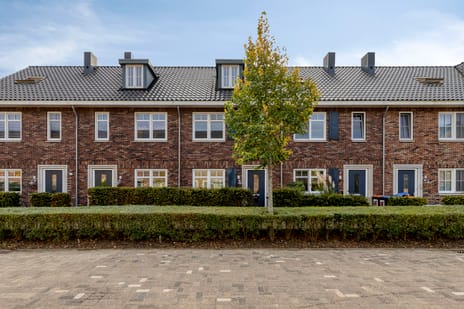 Renske Boonstraat thumbnail