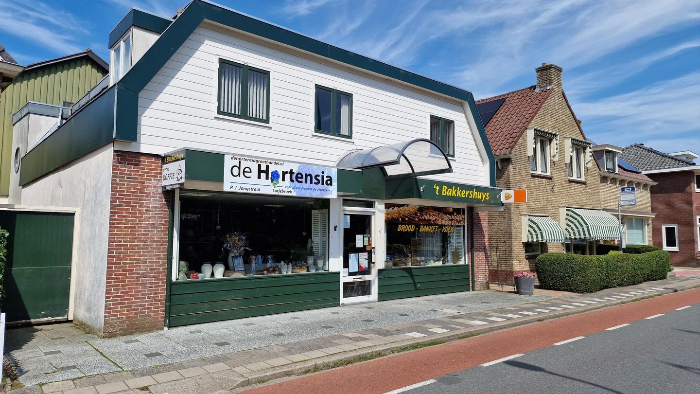 View photo 2 of Pieter Janszoon Jongstraat 70