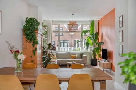 Robijnstraat thumbnail