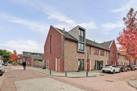 Tulpstraat thumbnail
