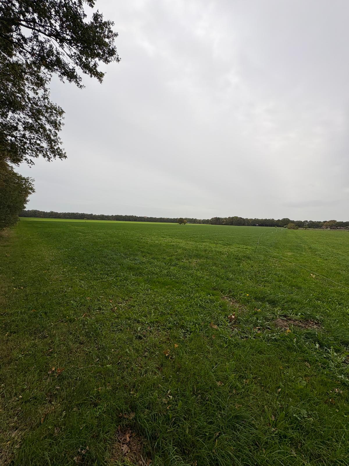 Huttenweg - Midlaren - Afbeelding 6