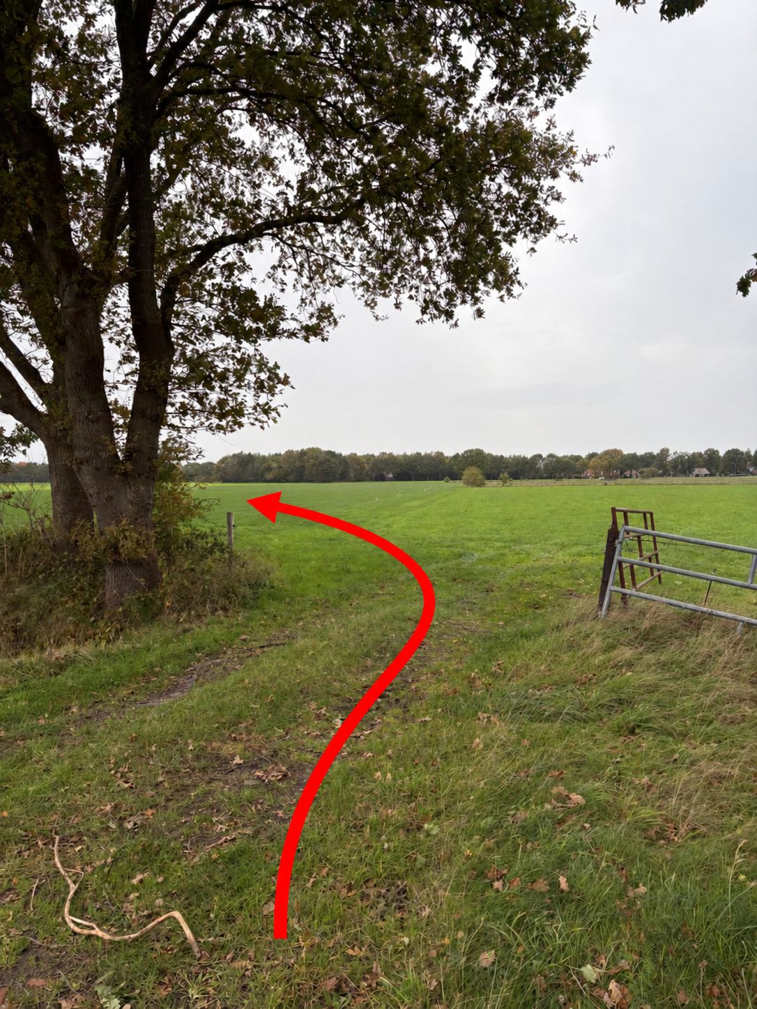 Huttenweg - Midlaren - Afbeelding 4