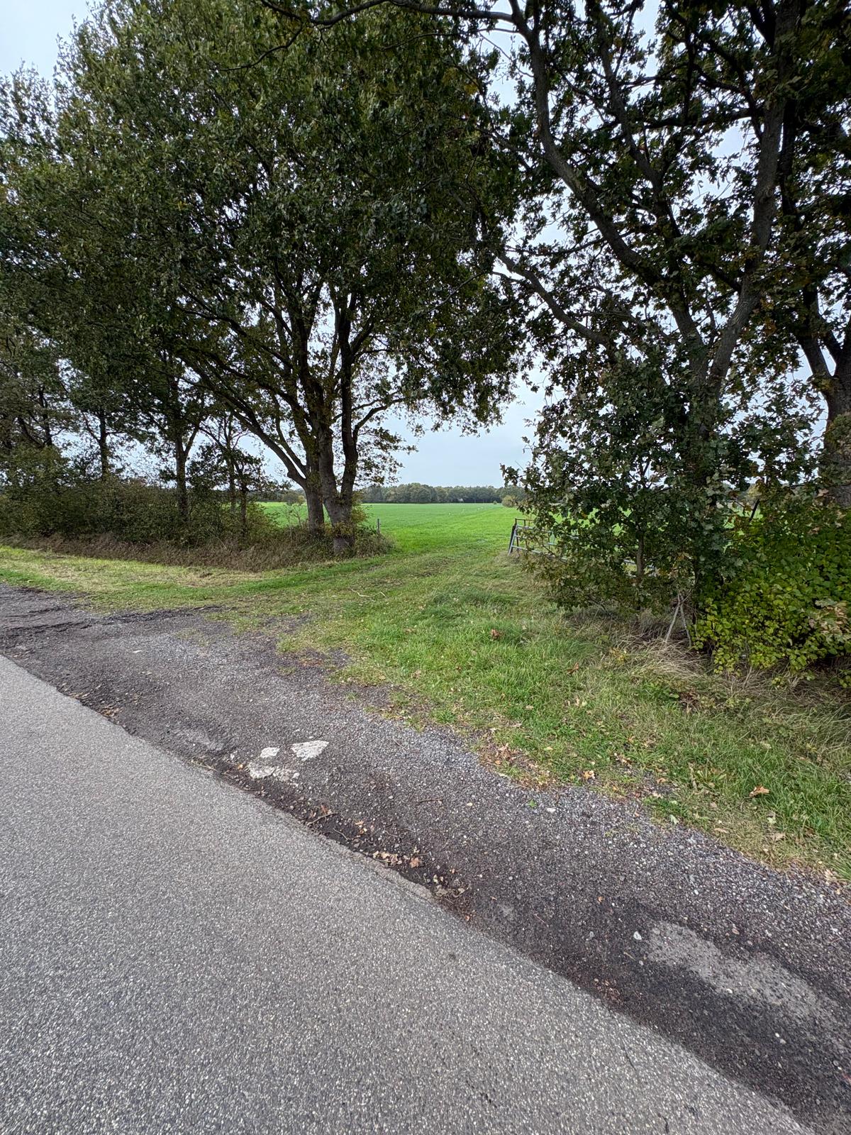 Huttenweg - Midlaren - Afbeelding 3