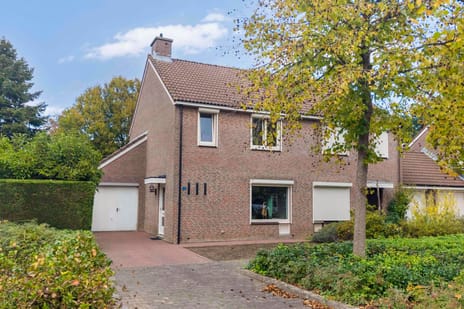 Paardebloemstraat thumbnail