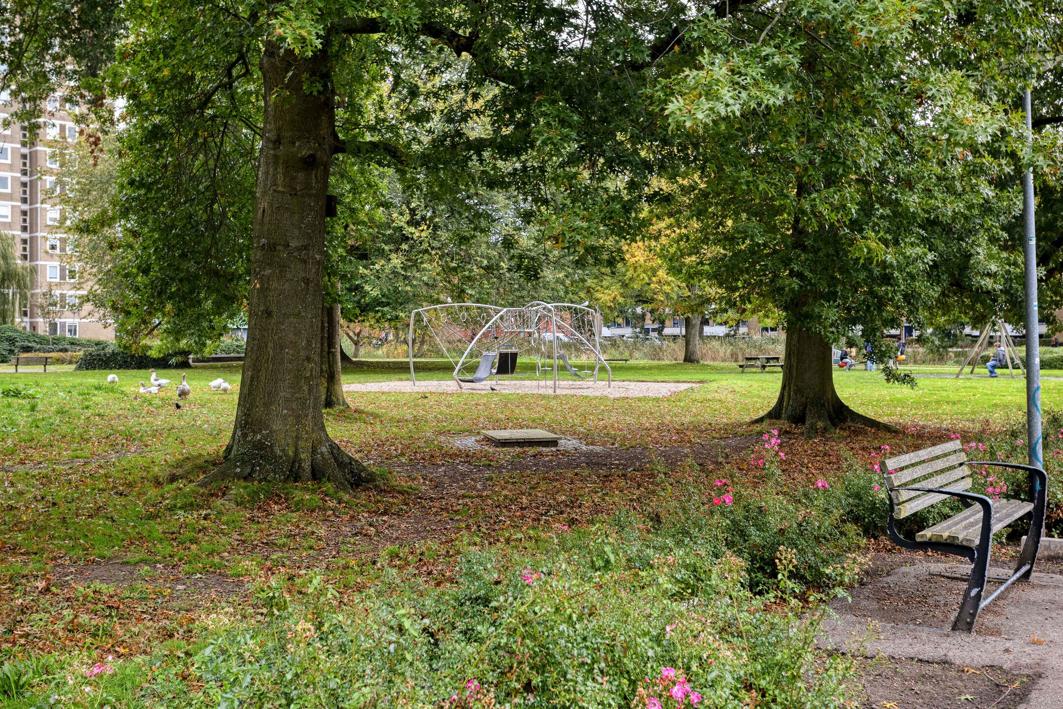 Photo 27 of Van Lenneplaan 167