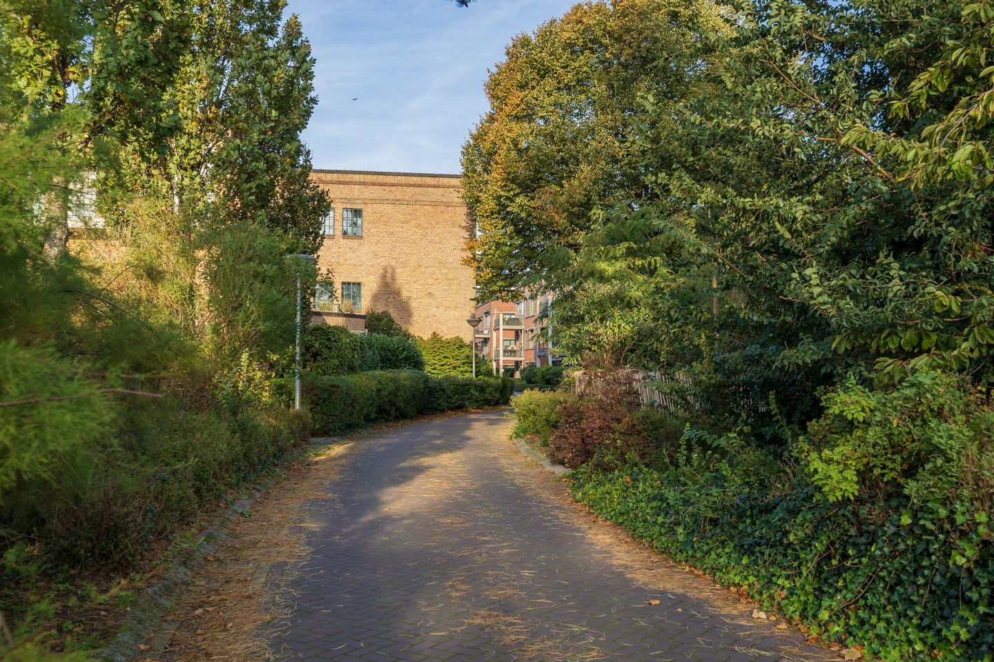 Photo 25 of Driehuizenpark 27
