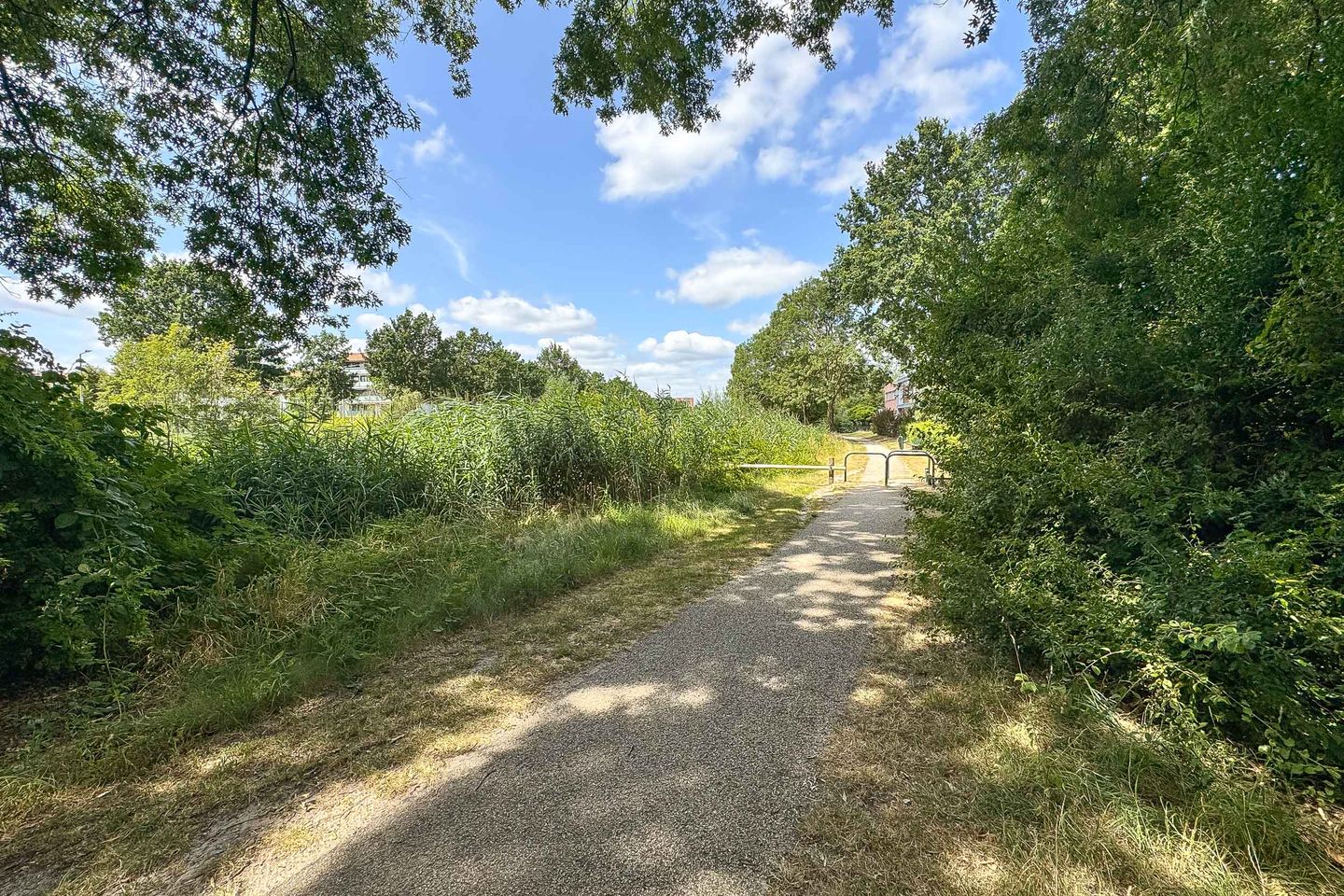 Photo 49 of Zangvogelweg 17