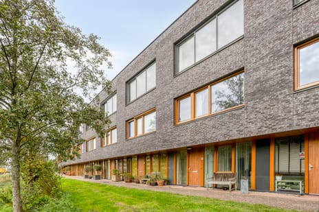 Buitenhof thumbnail