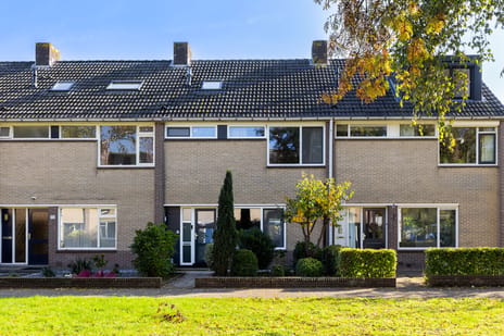 Schopenhauerstraat thumbnail