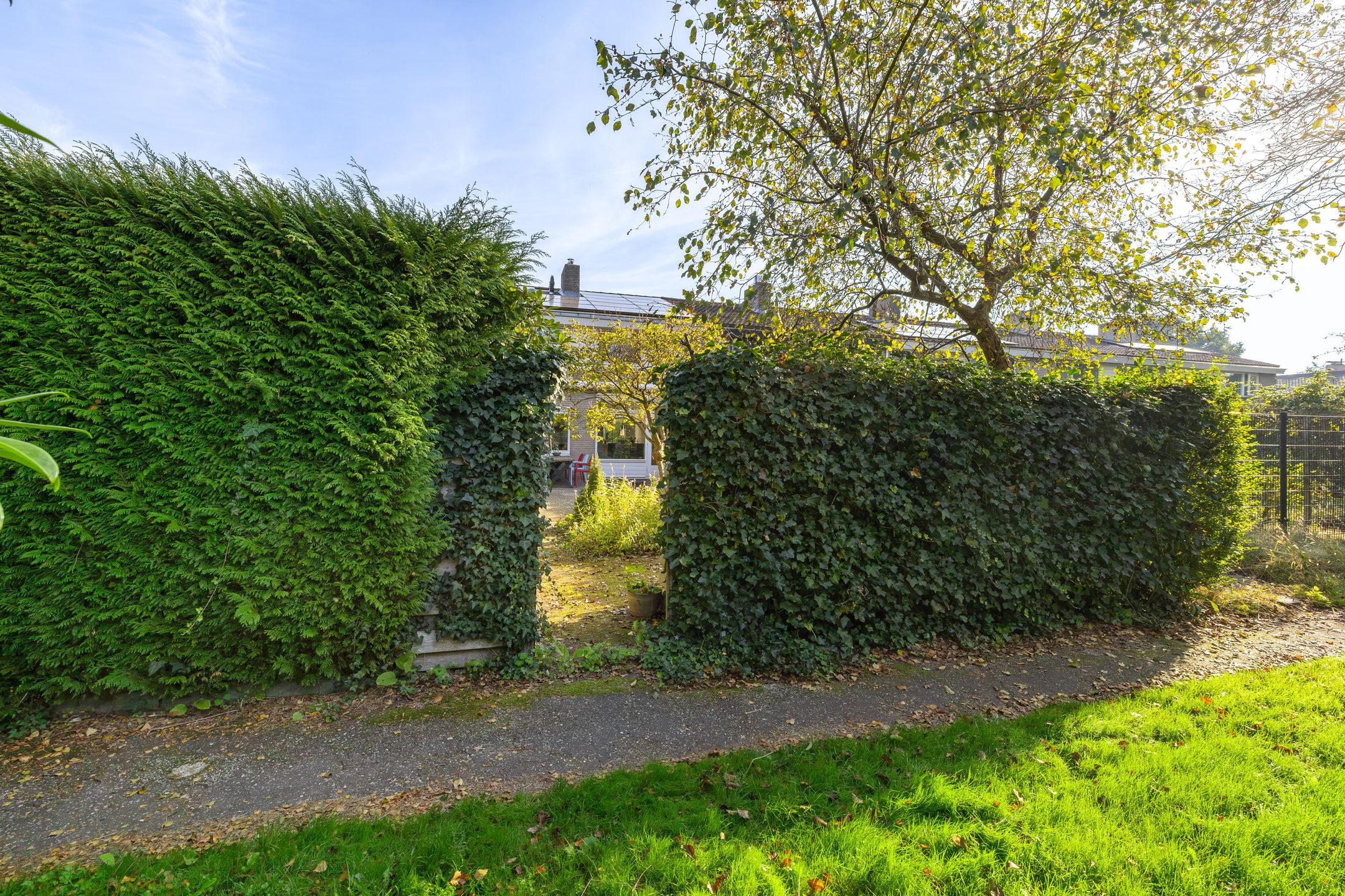 Photo 60 of Hemsterhuislaan 45