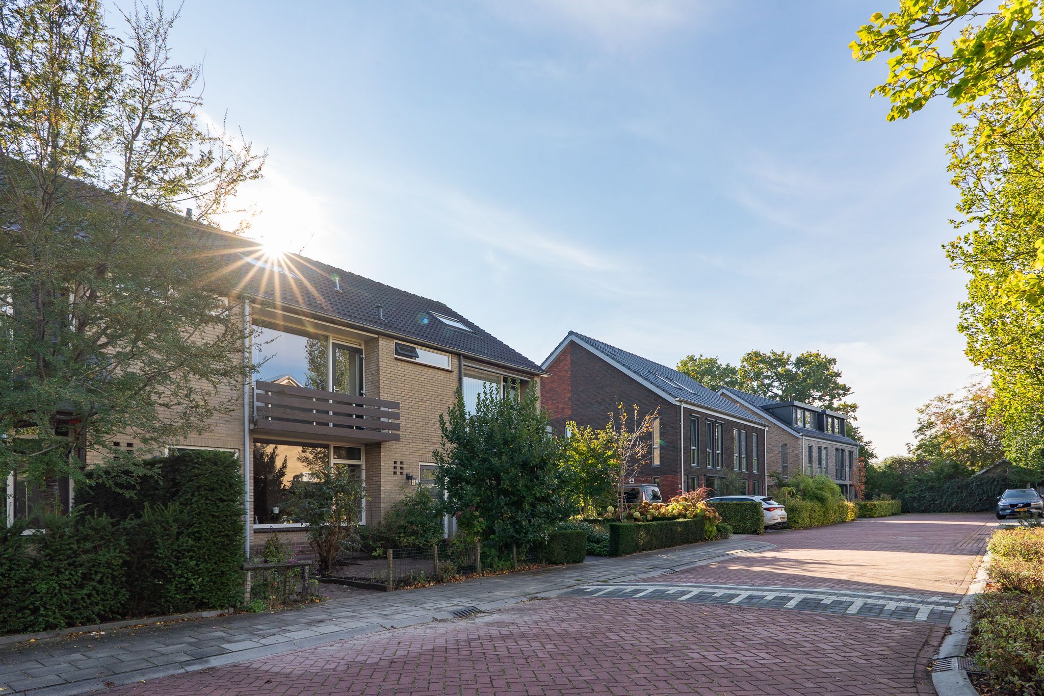 Photo 6 of Iepenhof 25