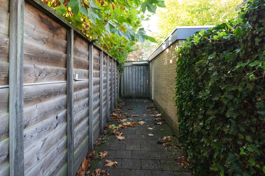Photo 56 of Iepenhof 25