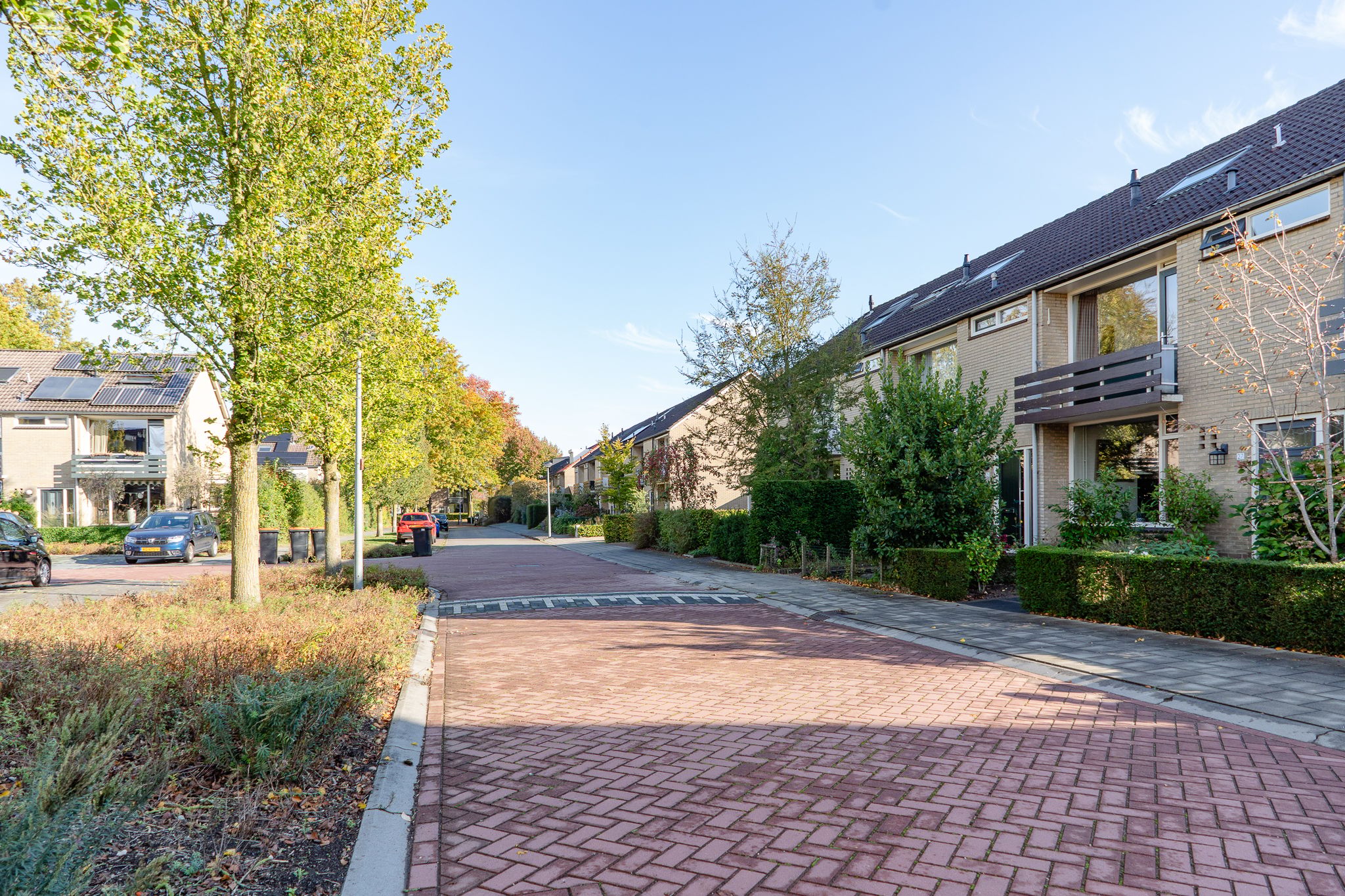 Photo 66 of Iepenhof 25