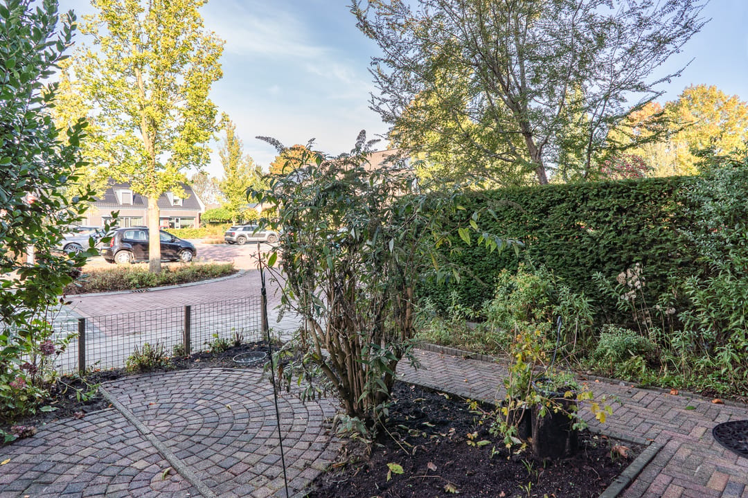 Photo 8 of Iepenhof 25