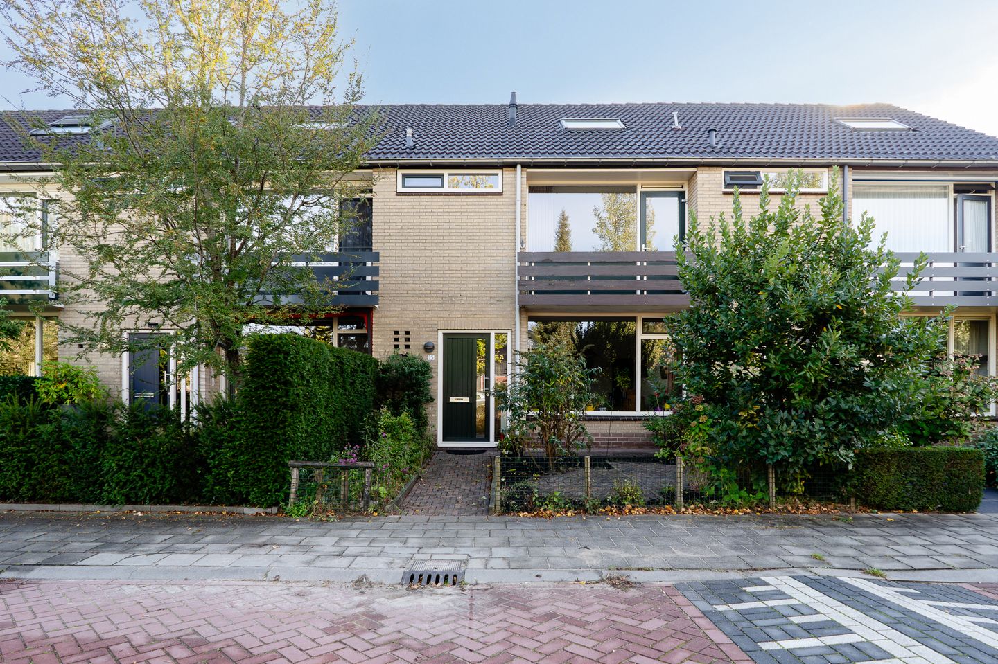Foto 1 van Iepenhof 25