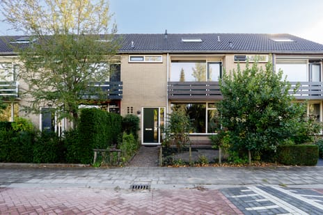 Iepenhof thumbnail