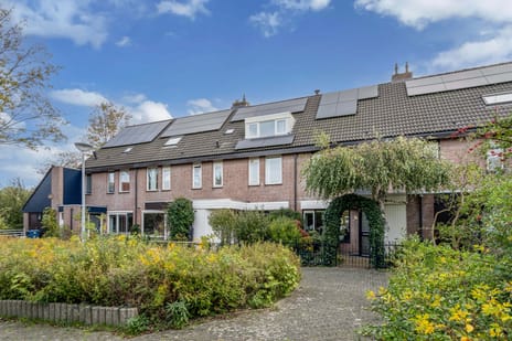 Patrijsstraat thumbnail