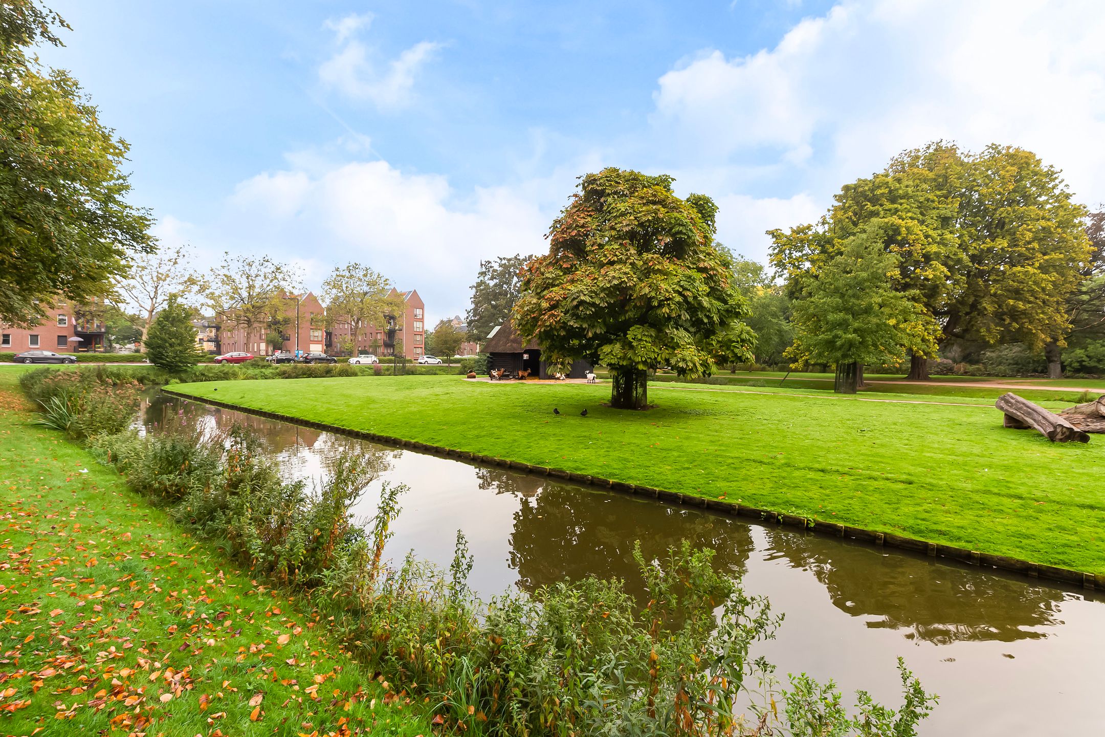 Photo 45 of Emmastraat 107