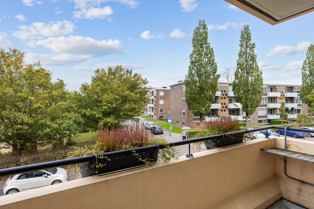 Photo 43 of Jacob van Ruysdaelstraat 40