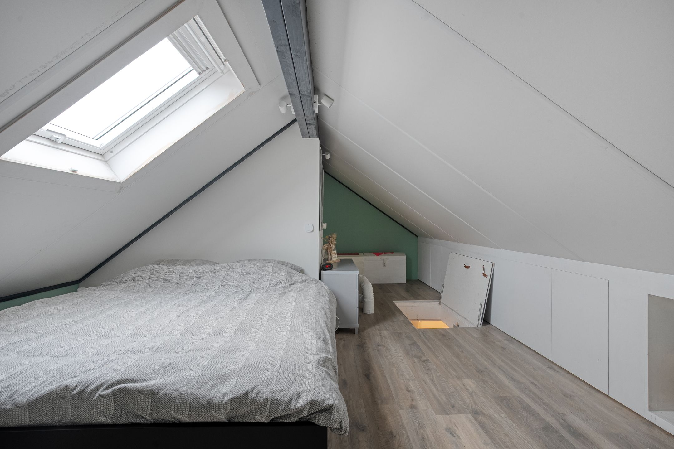 Photo 36 of Weidelint 42