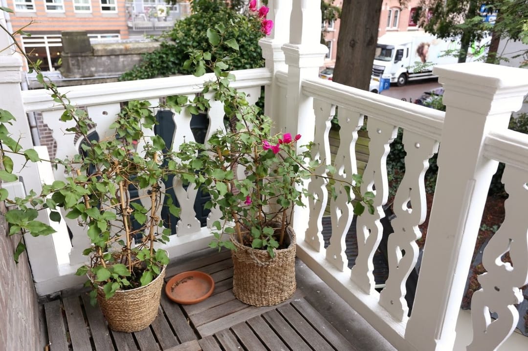 Photo 22 of Fluwelen Burgwal 1-D1
