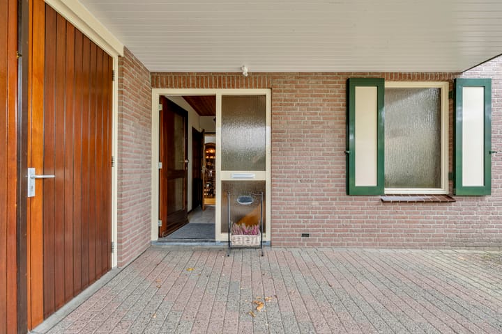 Foto 3 van de Lijsterbes 1