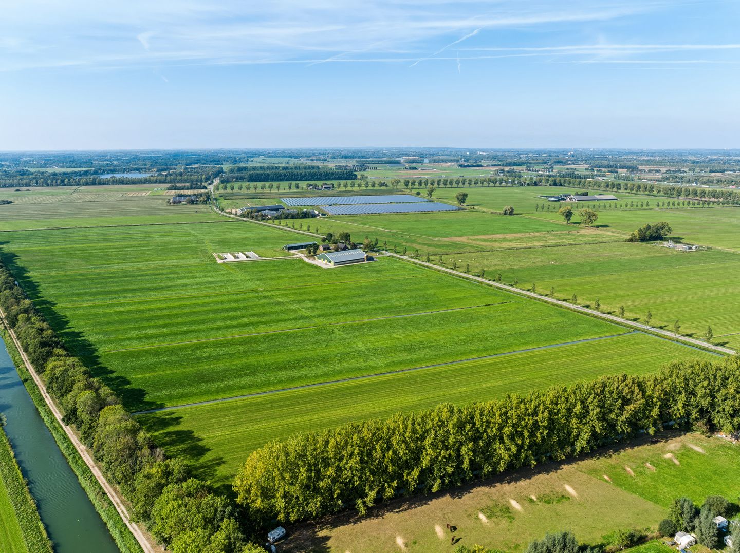 Bekijk foto 4 van Ficarystraat 1