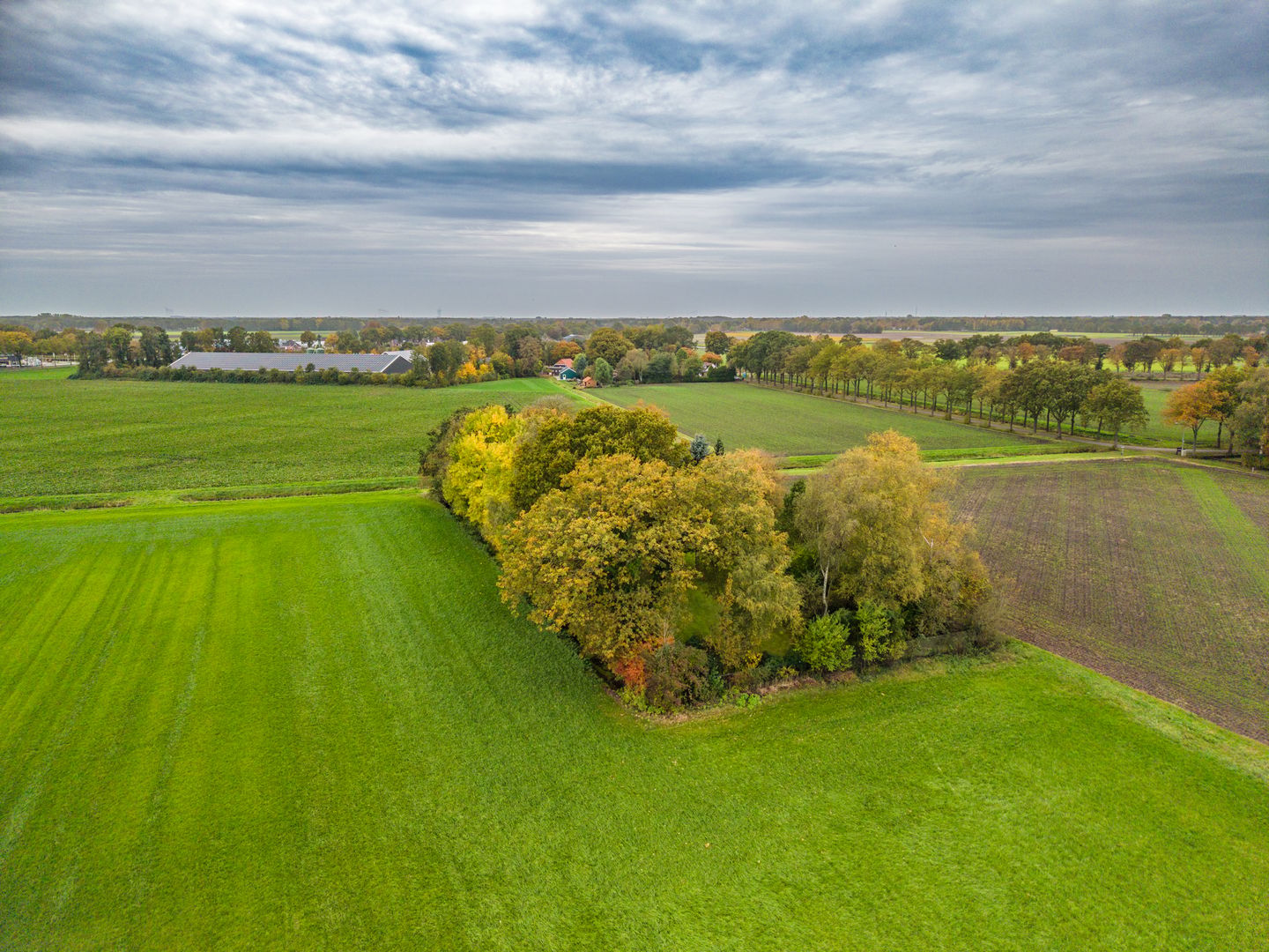 Photo 59 of Poldertweg 1
